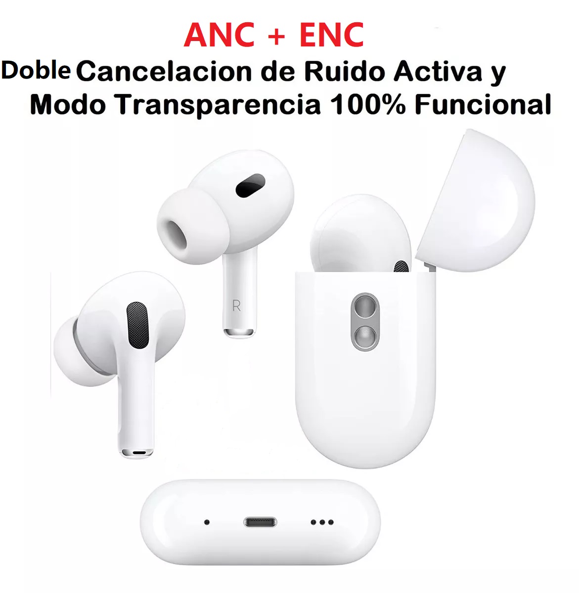 Imagen de WhatsApp 2024-01-20 a las 16.15.45_d78de537